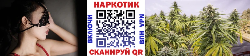 Сколько стоит Вихоревка Alpha PVP Гашиш МЕГА зеркало Каннабис