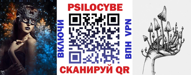Галлюциногенные грибы Psilocybe  купить наркотики сайты  Вихоревка 